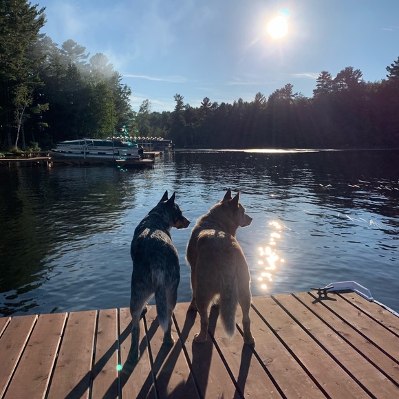 Meet your Posher, Sharon - Picture 3 of 3